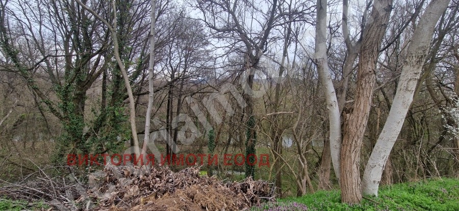 Продава ПАРЦЕЛ, с. Самоводене, област Велико Търново, снимка 2 - Парцели - 39985052