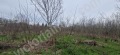 Продава ПАРЦЕЛ, с. Самоводене, област Велико Търново, снимка 1