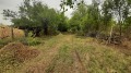 Продава  Парцел област Велико Търново , с. Ново село , 1600 кв.м | 24597830 - изображение [2]