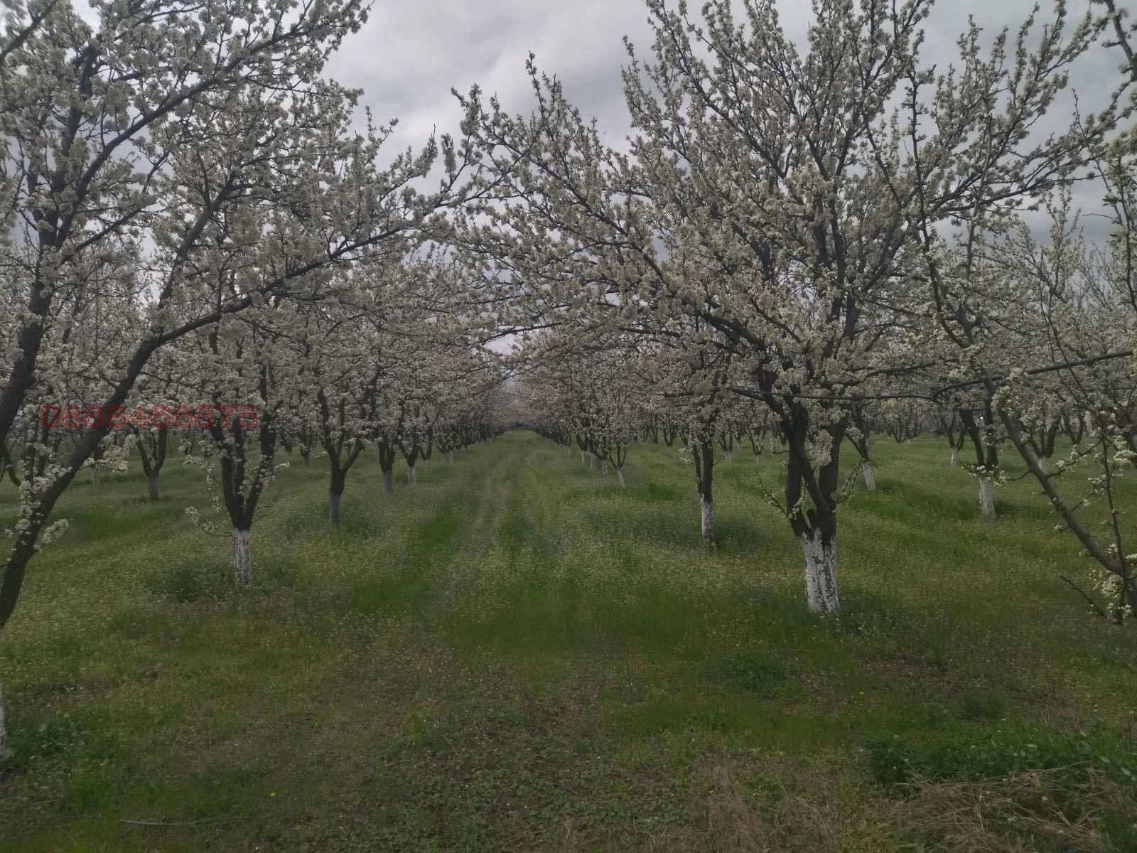 ������� ���������� ���� | Imot.bg � ����������� 3