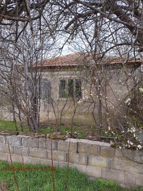 Maison Vranino, région de Dobritch 3