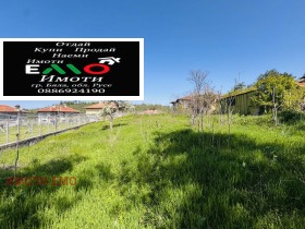 ����� ������� ������,��. ����, ������ ����