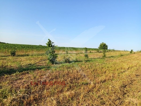 In vendita  Complotto regione Plovdiv , Cherven , 5500 mq | 72307140