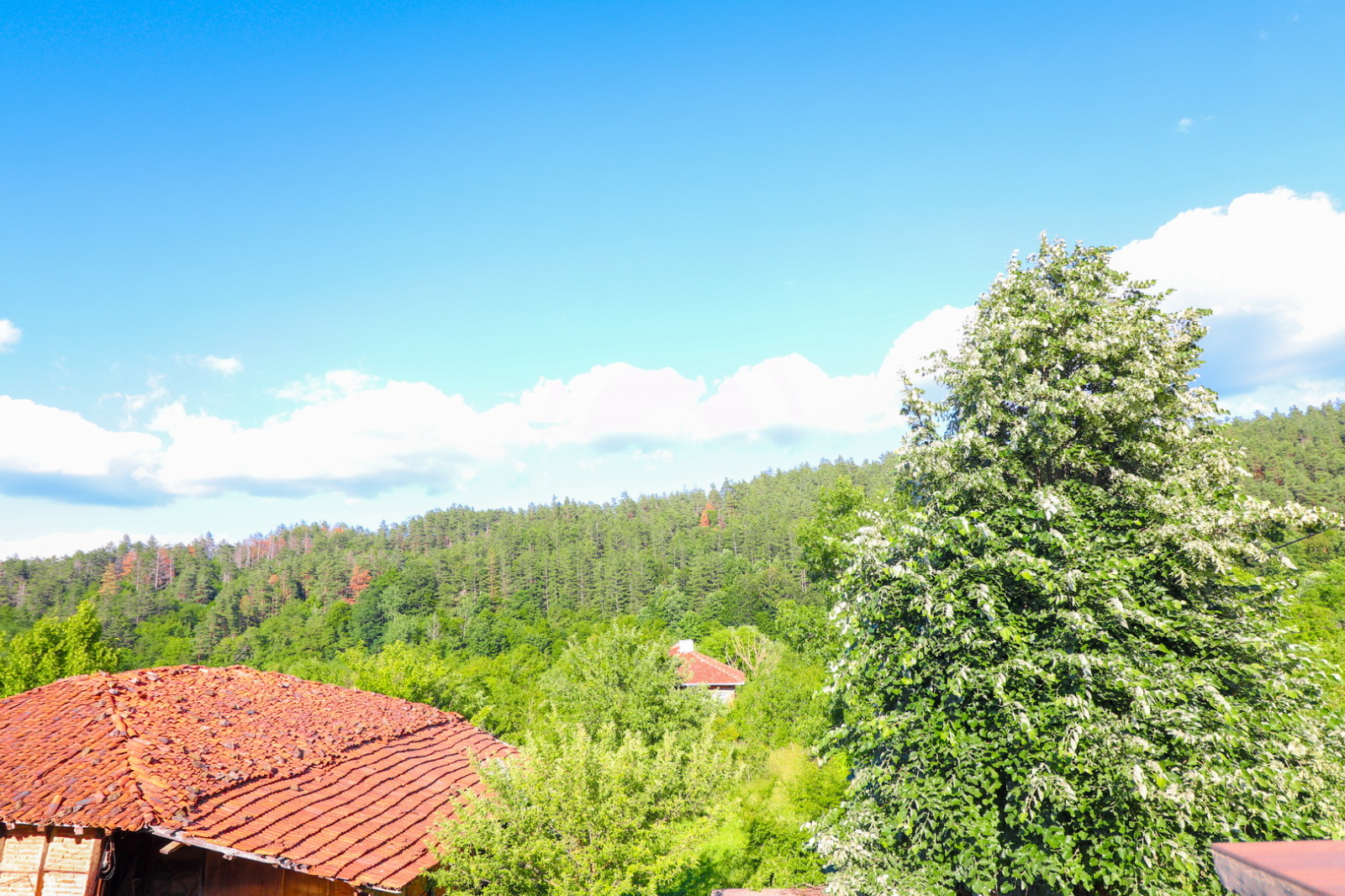 Продава КЪЩА, с. Стара река, област Сливен, снимка 7 - Къщи - 54997529