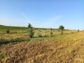 Продава ПАРЦЕЛ, област Пловдив, с. Червен • 13290 € • 23091873 — Holmes.bg