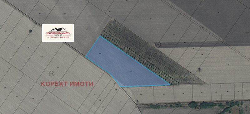 ������� ���������� ���� | Imot.bg � ����������� 1