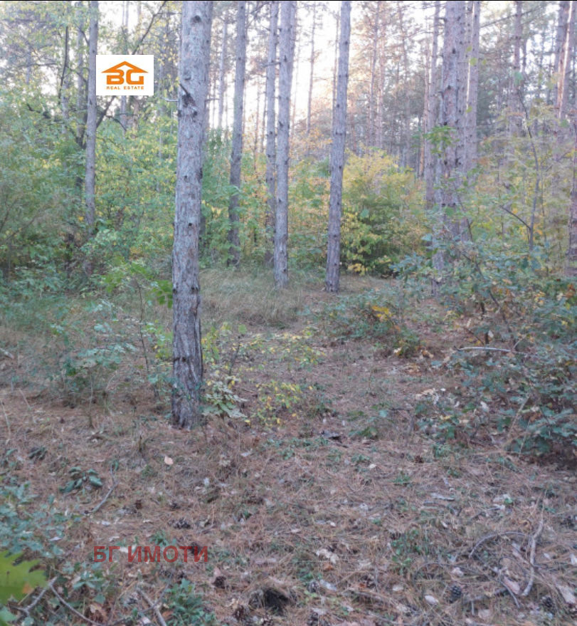 ������� ������ | Imot.bg � ����������� 4