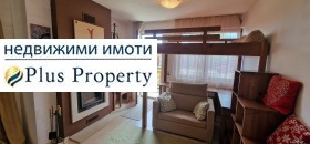 Studie Bansko, region Blagoevgrad 8