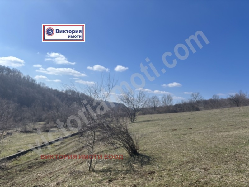 Продава ПАРЦЕЛ в област Велико Търново, с. Войнежа - 18300 кв.м / 93 000 € » 181 892.19 лв., ВИКТОРИЯ ИМОТИ ЕООД