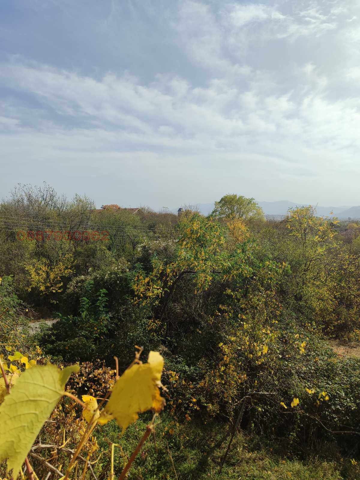 ������� ���� | Imot.bg � ����������� 5