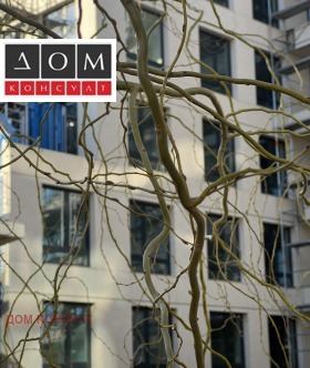 ������ ������� 4-�����