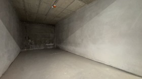 ����� ������� �����,���� �����, �������� ������