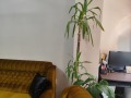 Продава 2-СТАЕН, гр. Варна, Център, снимка 3