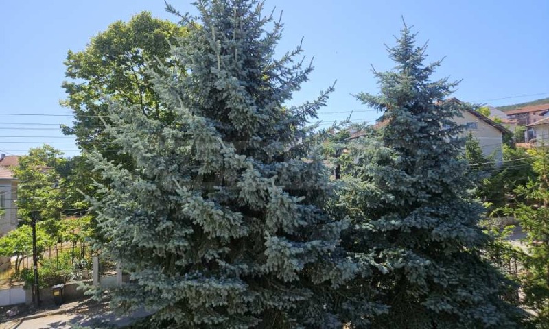 Til salgs  Hus region Dobrich , Kranevo , 240 kvm | 56666334 - bilde [5]