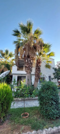 Продава КЪЩА, Гърция, Халкидики • 280000 € • 80340690 — Holmes.bg