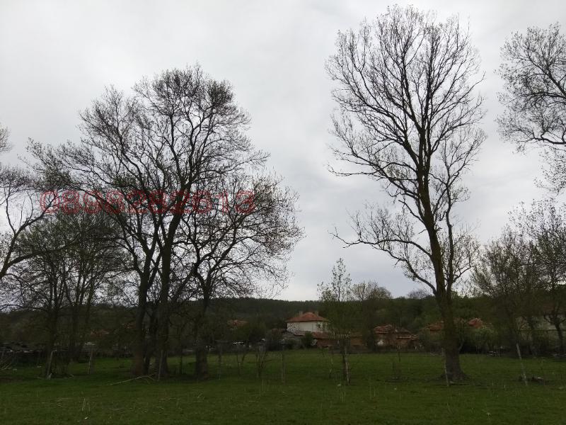 ������� ������ | Imot.bg � ����������� 5