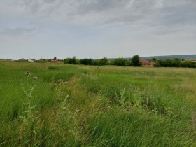 Grund Koznitsa, region Burgas