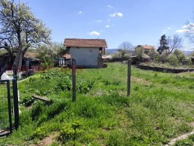 ����� ������� ������,�. ���������, ������ ������