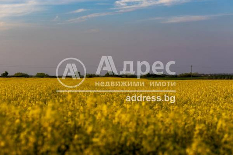 Till salu  Komplott Sofia , Gorni Bogrov , 4099 kvm | 58235659