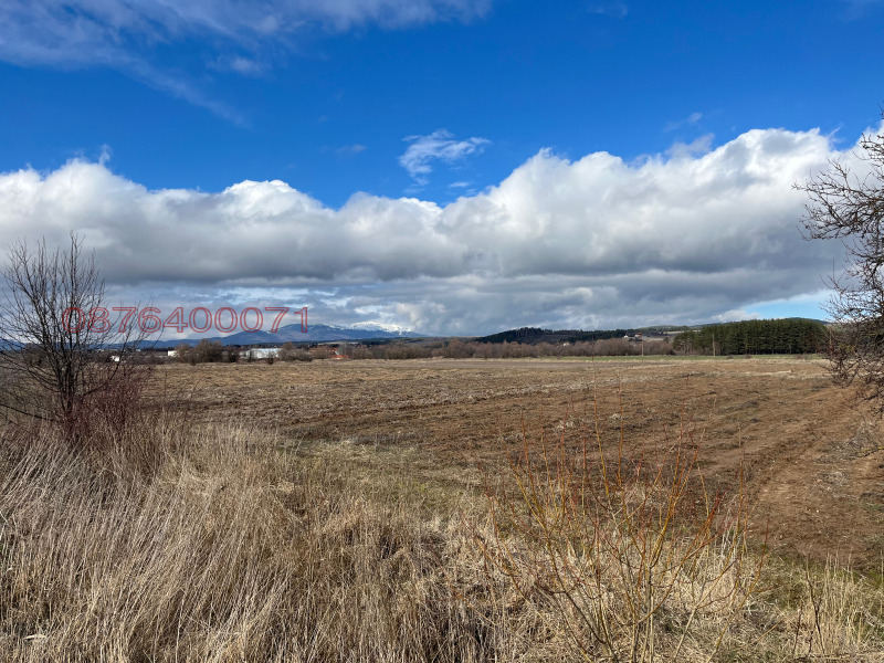 Продава ПАРЦЕЛ, с. Алино, област София област, снимка 2 - Парцели - 53402796