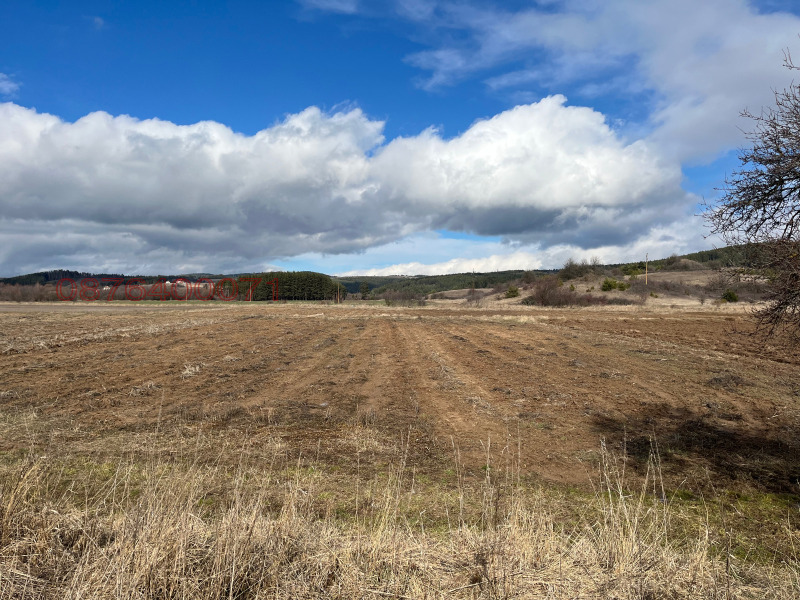 Продава ПАРЦЕЛ, с. Алино, област София област, снимка 7 - Парцели - 53402796