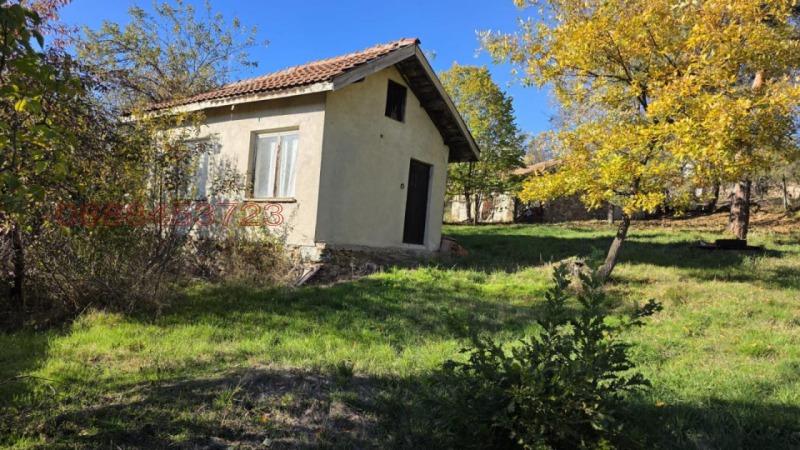 Продава ВИЛА в област София, с. Пауново - 25 кв.м / 99 000 € » 193 627.17 лв.