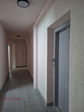 ����� ������� 3-�����,���� �����, ����������