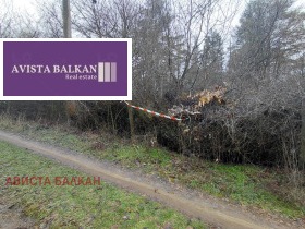 ����� ������� ������,�. ����� ������, ������ �����