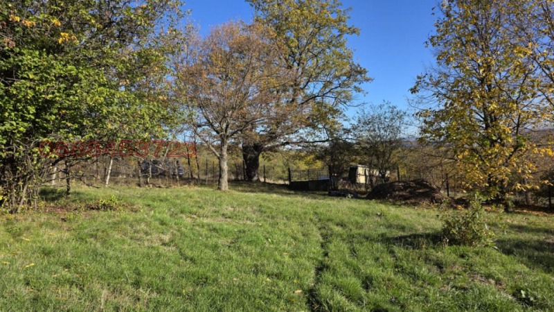 Продава ВИЛА, с. Пауново, област София област, снимка 3 - Вили - 52783856