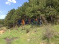 Продава ПАРЦЕЛ, с. Горица, област Бургас, снимка 1