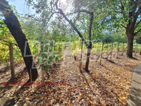 ������� ���� | Imot.bg � ����� ������ 17