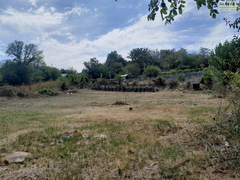 Продаја  Плот регион Монтана , Горно Церовене , 1150 м2 | 34921838 - слика [4]