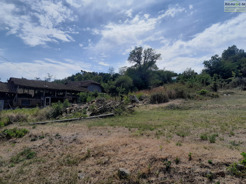 Продаја  Плот регион Монтана , Горно Церовене , 1150 м2 | 34921838 - слика [8]