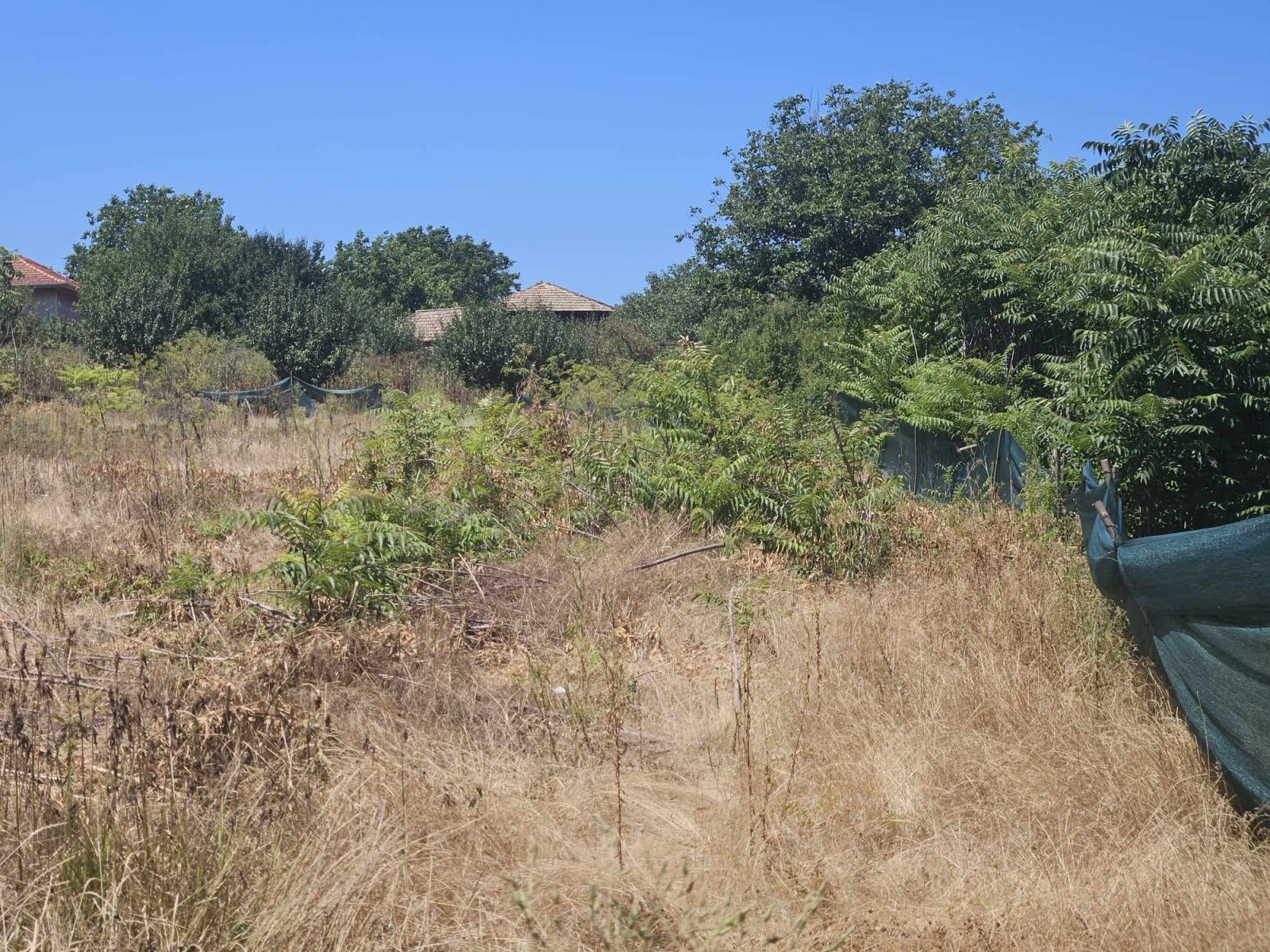 Продава ПАРЦЕЛ, с. Дряновец, област Разград, снимка 2 - Парцели - 54413101