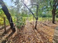 Продава КЪЩА, област Велико Търново, с. Павел • 28000 € • 35409730 17