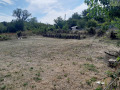Продава ПАРЦЕЛ, област Монтана, с. Горно Церовене • 45000 лв. • 27636454 — Holmes.bg