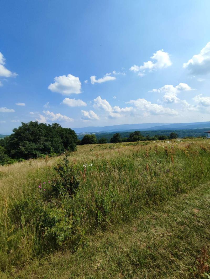 ������� ������ | Imot.bg � ����������� 2