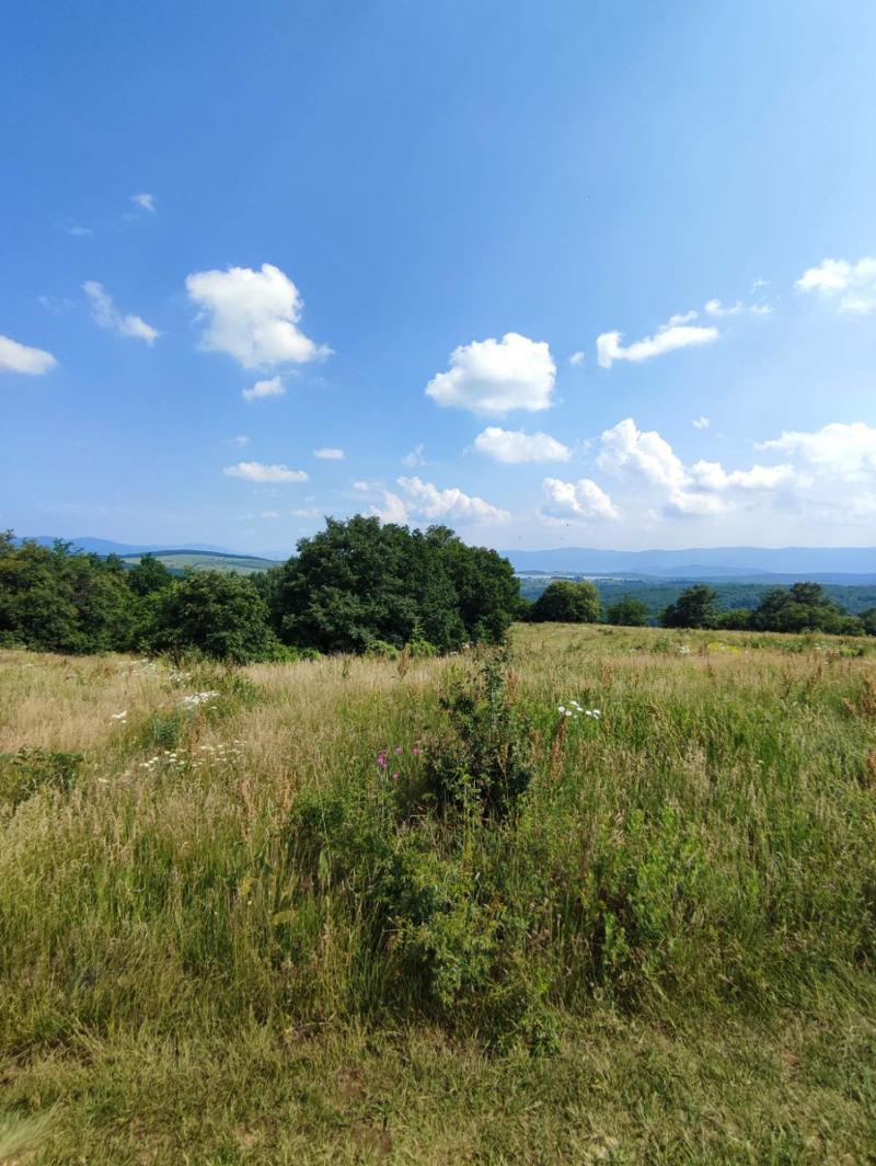 ������� ������ | Imot.bg � ����������� 3