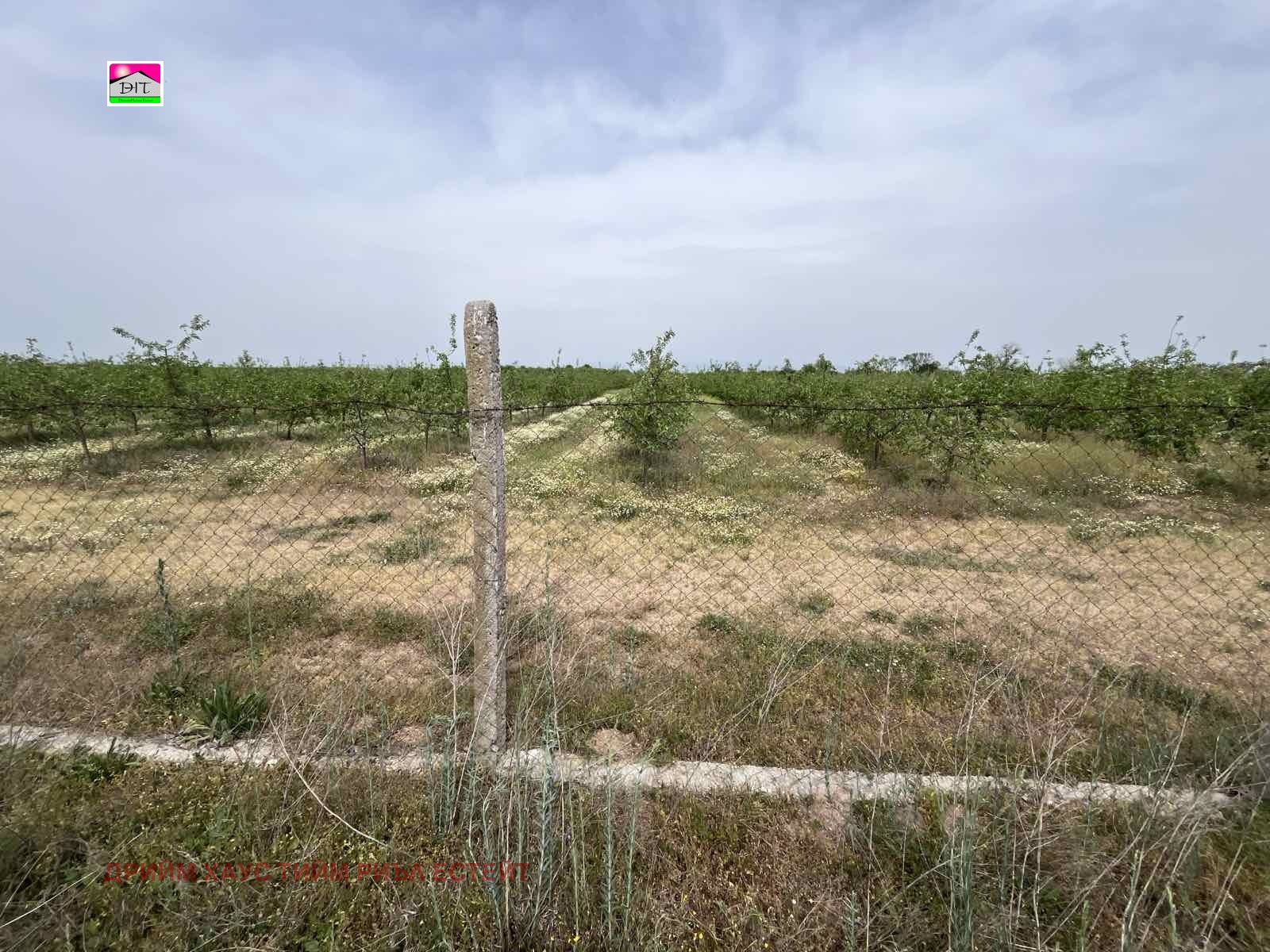 Продава ЗЕМЕДЕЛСКА ЗЕМЯ | Imot.bg — изображение 3