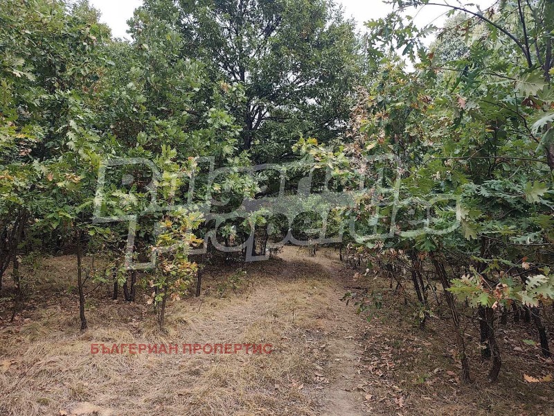 Na prodej  Dům oblast Loveč , Velčevo , 80 m2 | 63661631 - obraz [16]