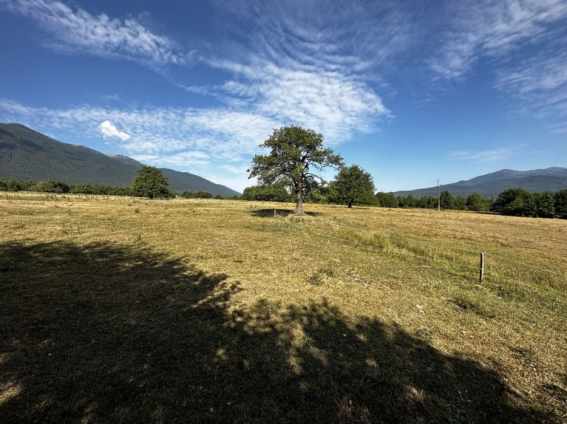 In vendita  Complotto regione Blagoevgrad , Razlog , 525 mq | 40917034