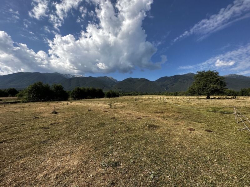 In vendita  Complotto regione Blagoevgrad , Razlog , 525 mq | 40917034 - Immagine [6]