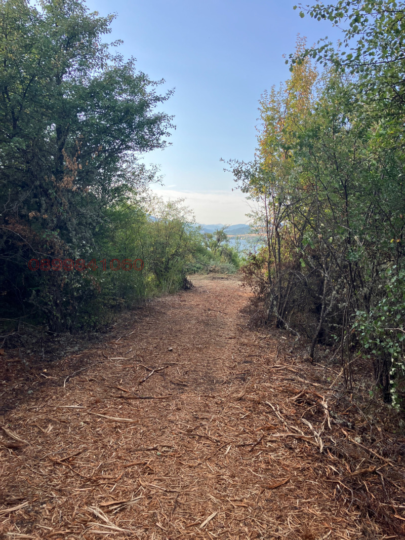 Продава ЗЕМЕДЕЛСКА ЗЕМЯ, с. Ковачевци, област Перник, снимка 6 - Земеделска земя - 53591527