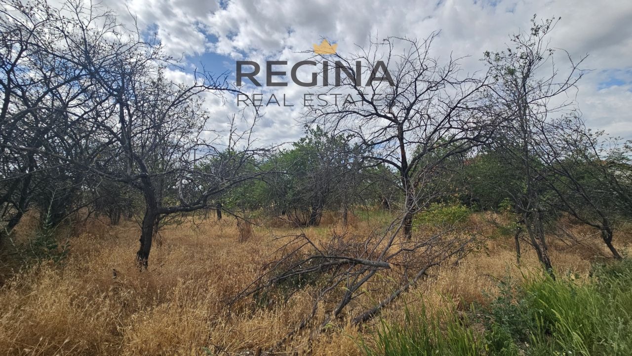 Продава ПАРЦЕЛ, с. Старосел, област Пловдив, снимка 2 - Парцели - 50987106