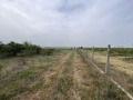 Продава ЗЕМЕДЕЛСКА ЗЕМЯ, с. Строево, област Пловдив, снимка 2