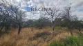 Продава ПАРЦЕЛ, област Пловдив, с. Старосел • 52000 лв. • 26333141 — Holmes.bg