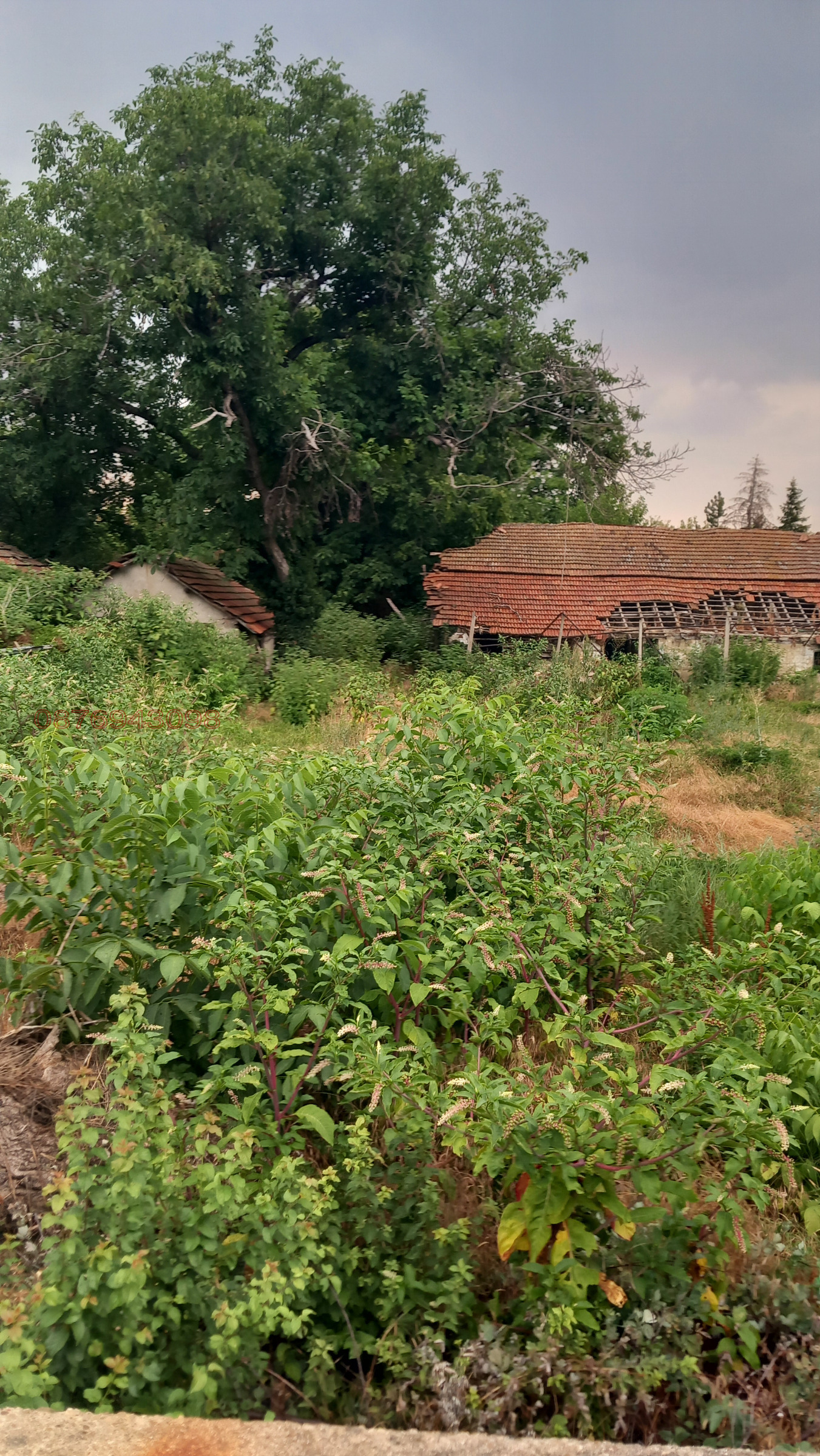 ������� ������ | Imot.bg � ����������� 5