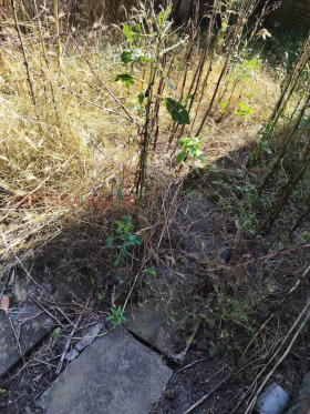 ������� ���� | Imot.bg � ����� ������ 15
