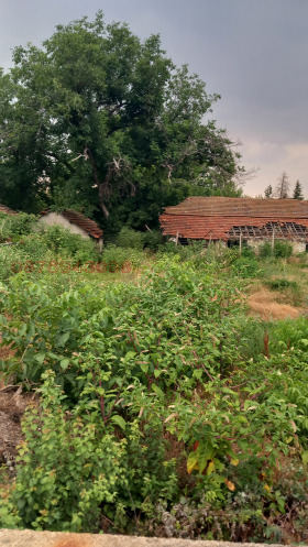 ������� ������ | Imot.bg � ����� ������ 5