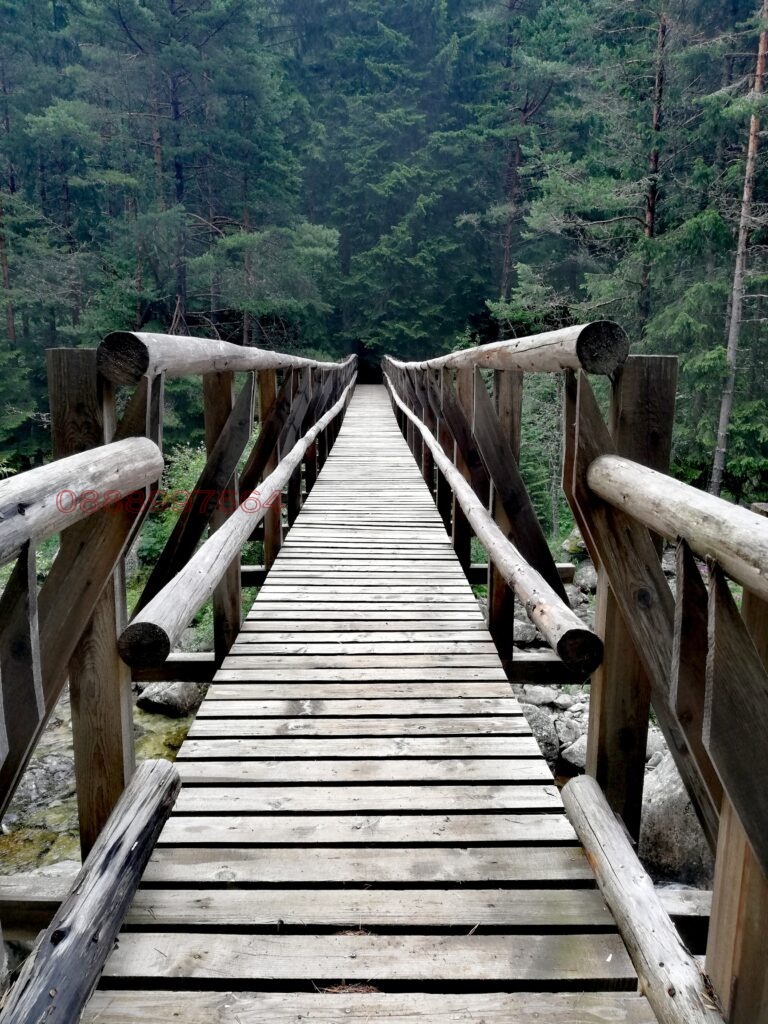 Продава ПАРЦЕЛ, с. Бели Искър, област София област, снимка 2 - Парцели - 53527849